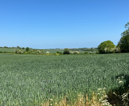 Dofe img 0013
