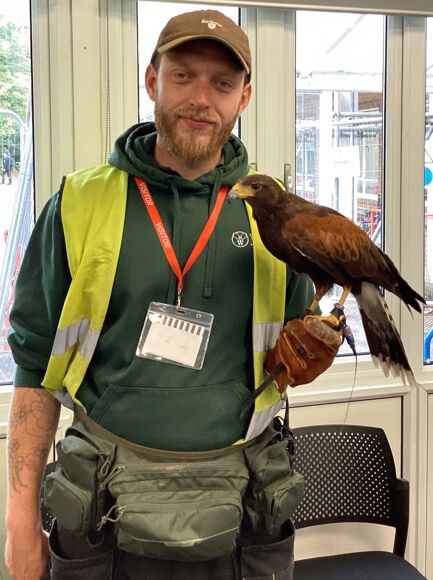 Falconry 1 92a9bf7