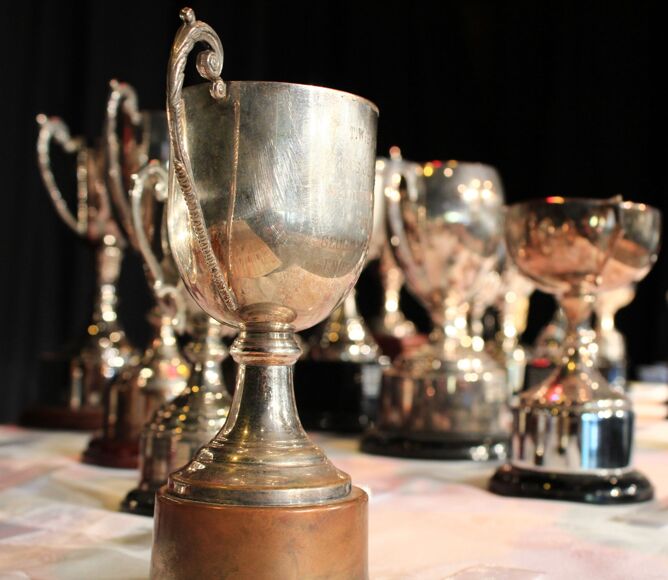 Cups photo