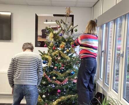 Img 0307 xmas trees 1