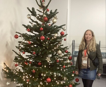 Sev tree img 0044 xmas trees 3